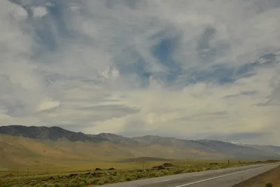 DSC_6576 (Large).JPG